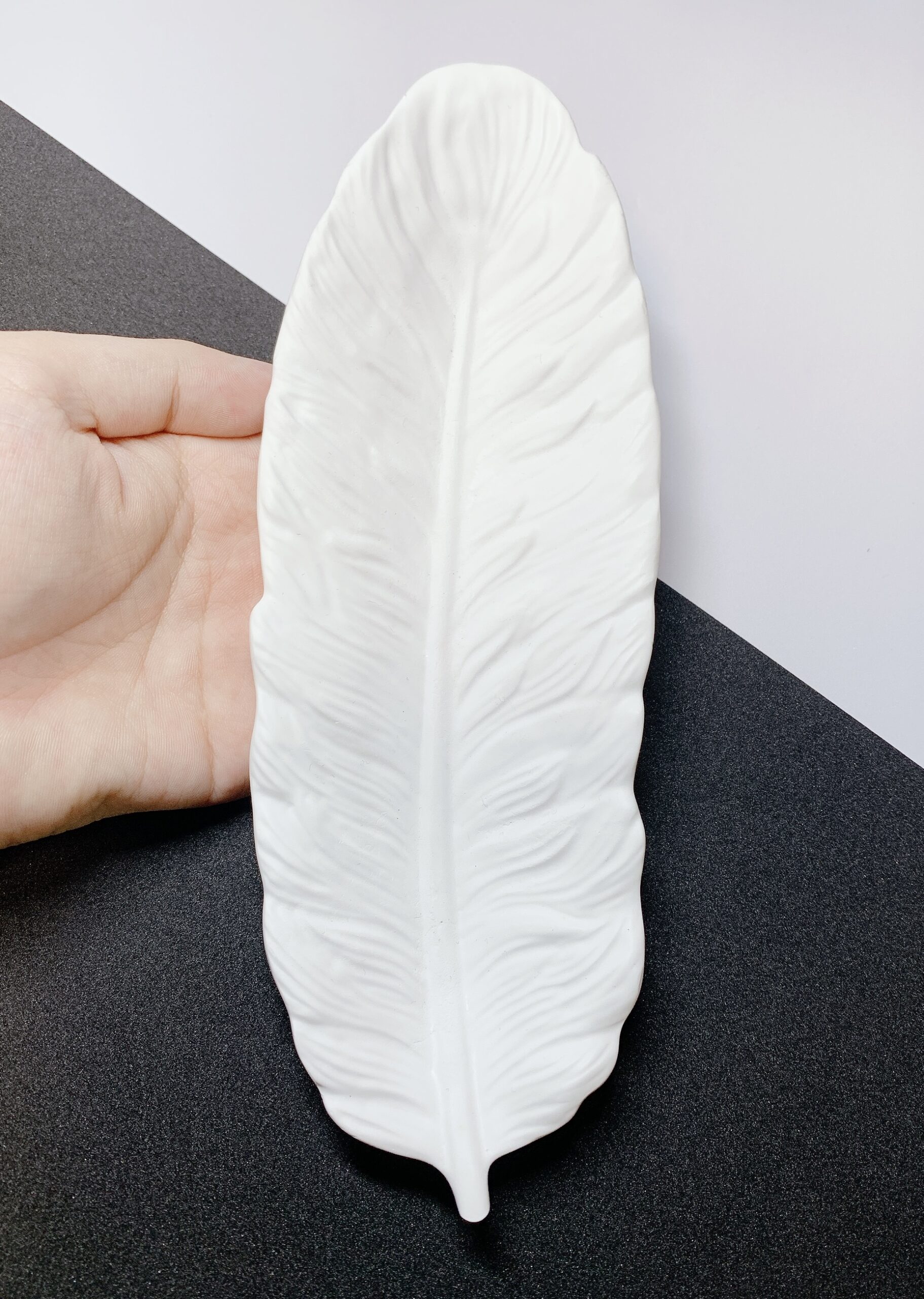 Feather001